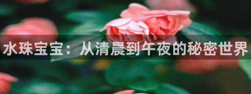 新宝5-测速：水珠宝宝：从清晨到午夜的秘密世界