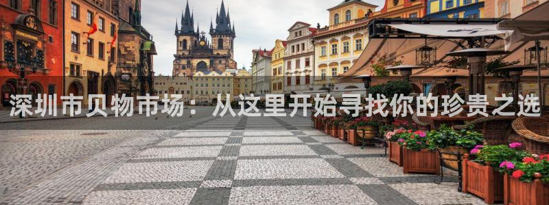 新宝5褚32OO59：深圳市贝物市场：从这里开始寻找你的珍贵之选
