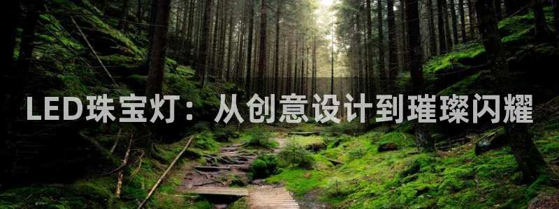 新宝5挂机：LED珠宝灯：从创意设计到璀璨闪耀