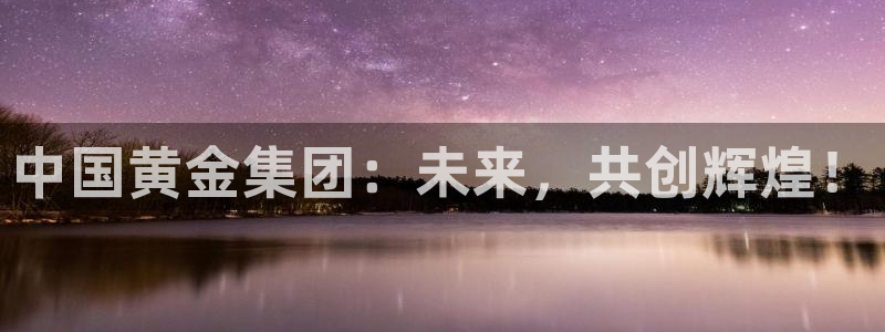 新宝b2O5O5O：中国黄金集团：未来，共创辉煌！