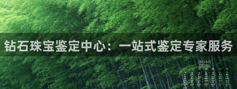 新宝那2O5O5O：钻石珠宝鉴定中心：一站式鉴定专家服务
