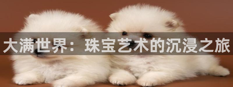 皇冠新宝5：大满世界：珠宝艺术的沉浸之旅