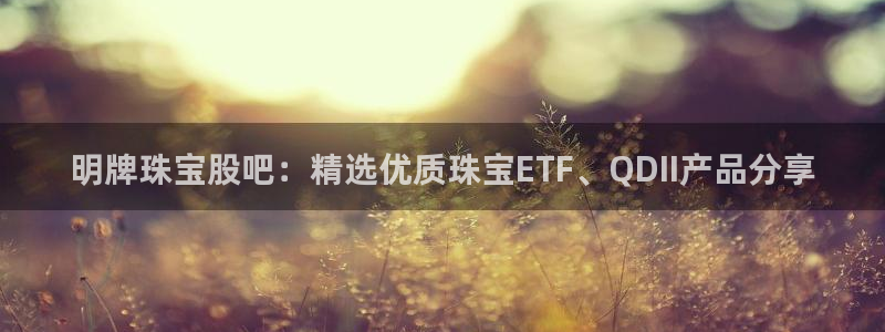 新宝5侹刔：明牌珠宝股吧：精选优质珠宝ETF、QDII产品分享