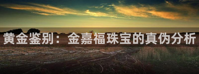 新宝5寻33 300球：黄金鉴别：金嘉福珠宝的真伪分析