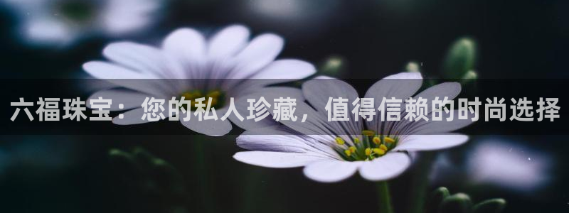 新宝5球维33 300：六福珠宝：您的私人珍藏，值得信赖的时尚选择