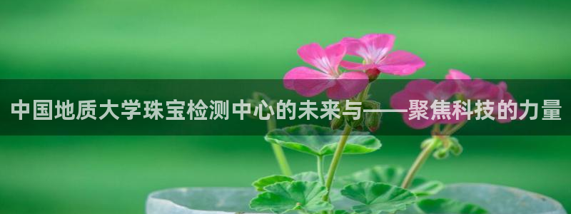 新宝5官网：中国地质大学珠宝检测中心的未来与——聚焦科技的力量