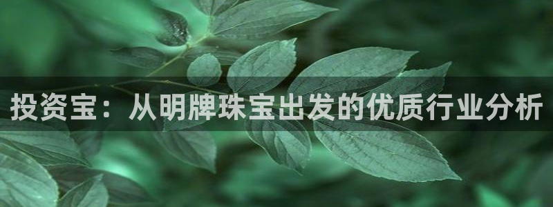 新宝5登录平台：投资宝：从明牌珠宝出发的优质行业分析