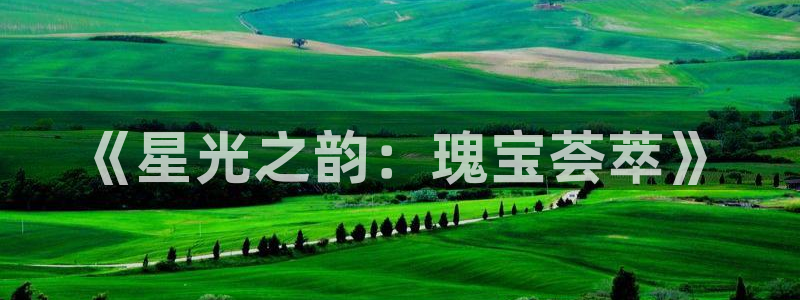 新宝5登录不了：《星光之韵：瑰宝荟萃》