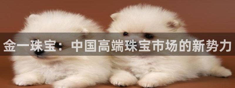 新宝5王问74OOO5：金一珠宝：中国高端珠宝市场的新势力