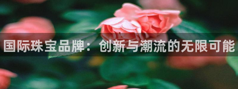 新宝5娱乐招商：国际珠宝品牌：创新与潮流的无限可能