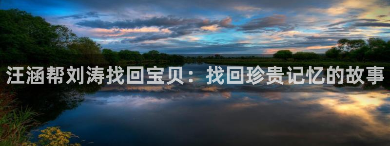 新宝5下载软件：汪涵帮刘涛找回宝贝：找回珍贵记忆的故事