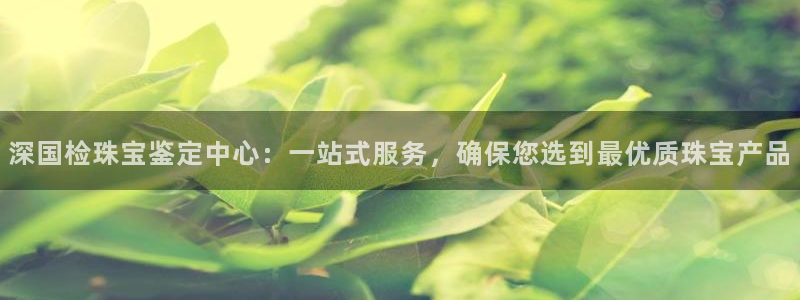 新宝5手机版登录：深国检珠宝鉴定中心：一站式服务，确保您选到最优质珠宝产品