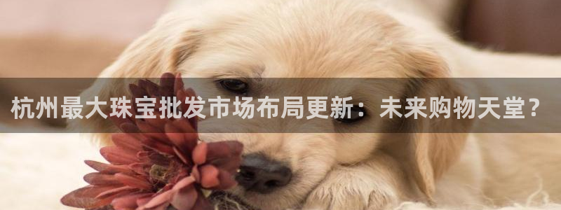 新宝5骗术：杭州最大珠宝批发市场布局更新：未来购物天堂？