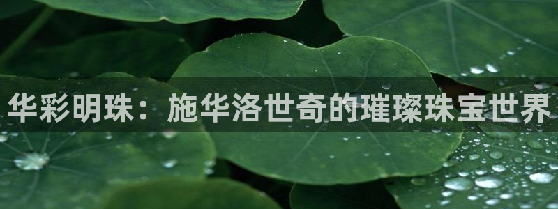 股票5G宝新：华彩明珠：施华洛世奇的璀璨珠宝世界