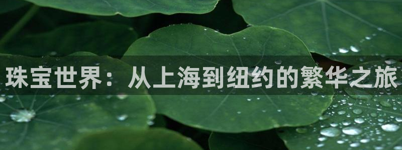 新宝5登录：珠宝世界：从上海到纽约的繁华之旅