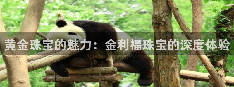 新宝5什么时候上市：黄金珠宝的魅力：金利福珠宝的深度体验