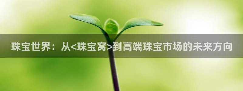 新宝5手机版：珠宝世界：从<珠宝窝>到高端珠宝市场的未来方向