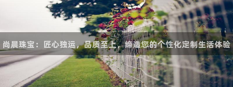 新宝5娱乐经：尚晨珠宝：匠心独运，品质至上，缔造您的个性化定制生活体验