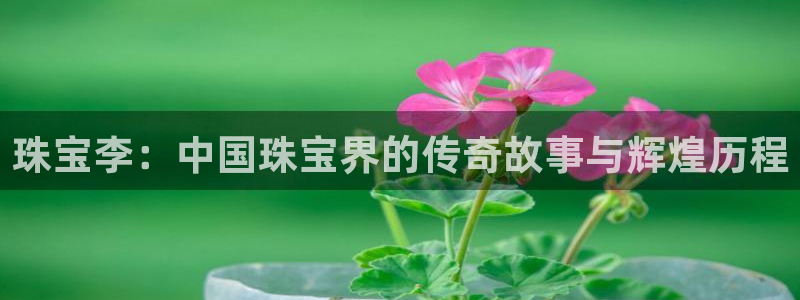 新宝5巅峰：珠宝李：中国珠宝界的传奇故事与辉煌历程