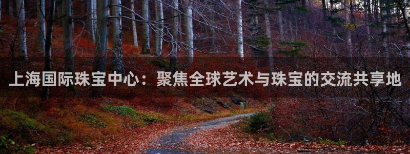 新宝股东张听2 5 5：上海国际珠宝中心：聚焦全球艺术与珠宝的交流共享地