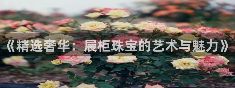 新宝5网：《精选奢华：展柜珠宝的艺术与魅力》