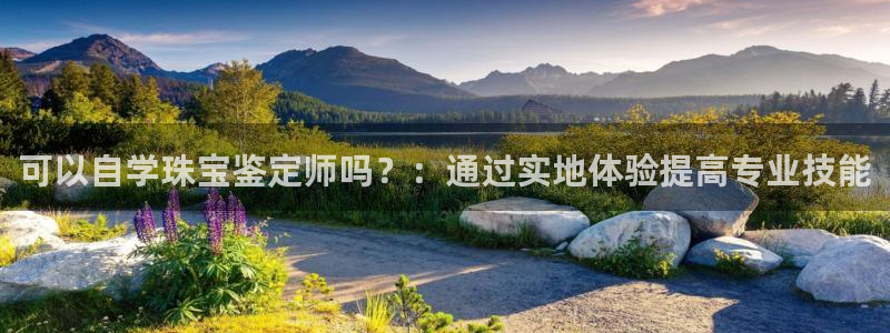 新宝5五：可以自学珠宝鉴定师吗？：通过实地体验提高专业技能