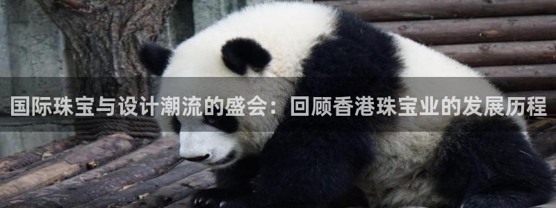 新宝5安卓版：国际珠宝与设计潮流的盛会：回顾香港珠宝业的发展历程