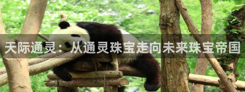 2022新宝骏rs 5：天际通灵：从通灵珠宝走向未来珠宝帝国