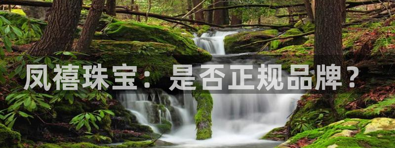 新宝xb5：凤禧珠宝：是否正规品牌？