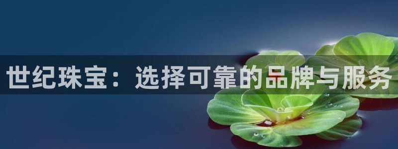 新宝5平台登录：世纪珠宝：选择可靠的品牌与服务