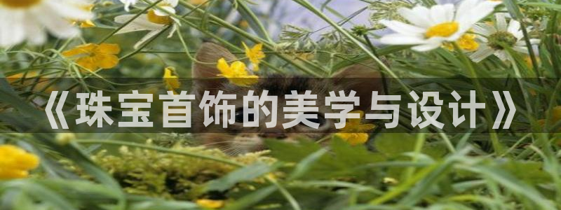 新宝5下载测试：《珠宝首饰的美学与设计》