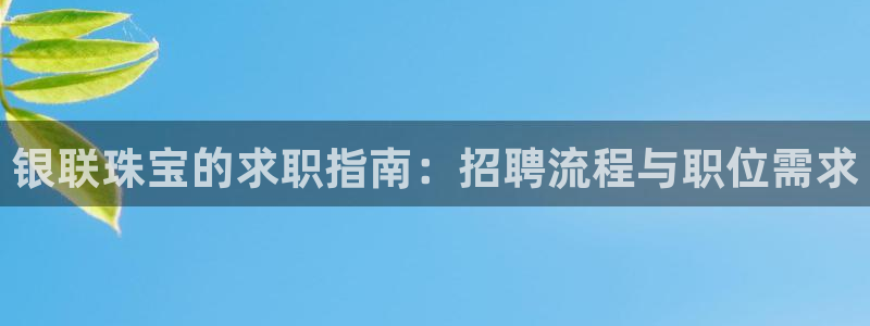 新宝速5：银联珠宝的求职指南：招聘流程与职位需求