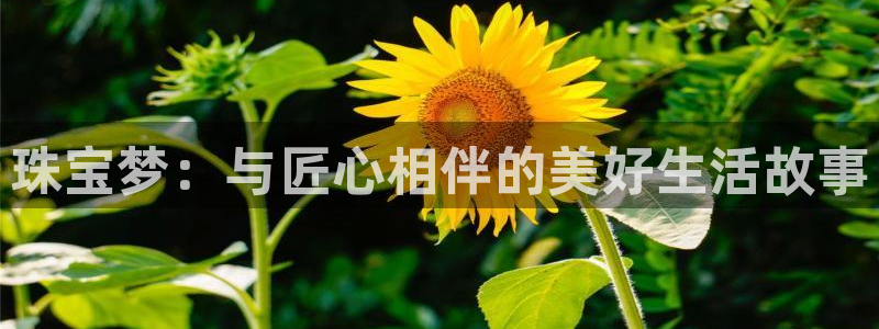 新宝5娱乐然：珠宝梦：与匠心相伴的美好生活故事