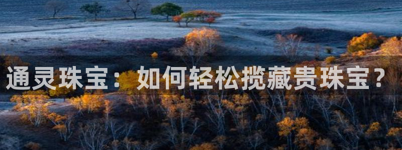 新宝_5：通灵珠宝：如何轻松揽藏贵珠宝？