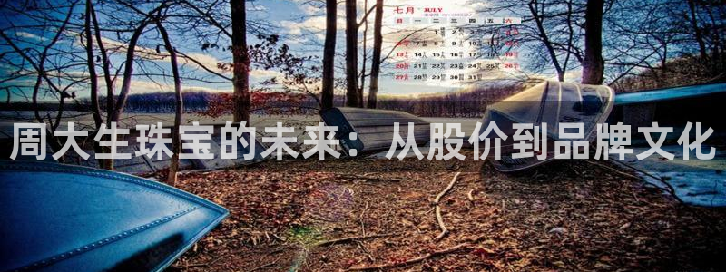 新宝5黑：周大生珠宝的未来：从股价到品牌文化