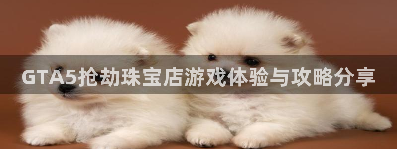 新宝5代理：GTA5抢劫珠宝店游戏体验与攻略分享