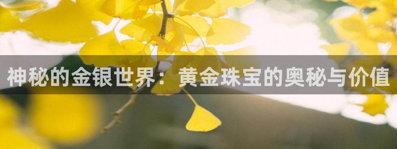 新宝堂新会陈皮5年：神秘的金银世界：黄金珠宝的奥秘与价值