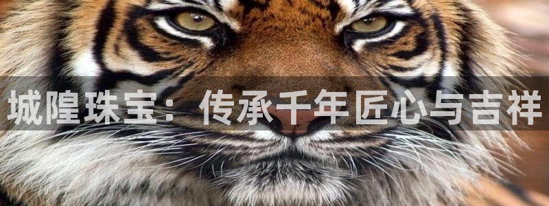 新宝5链接：城隍珠宝：传承千年匠心与吉祥