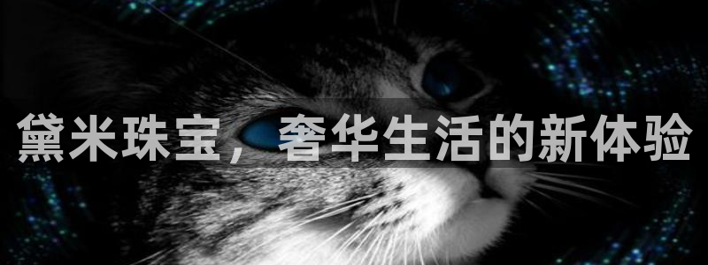 新宝5网址：黛米珠宝，奢华生活的新体验