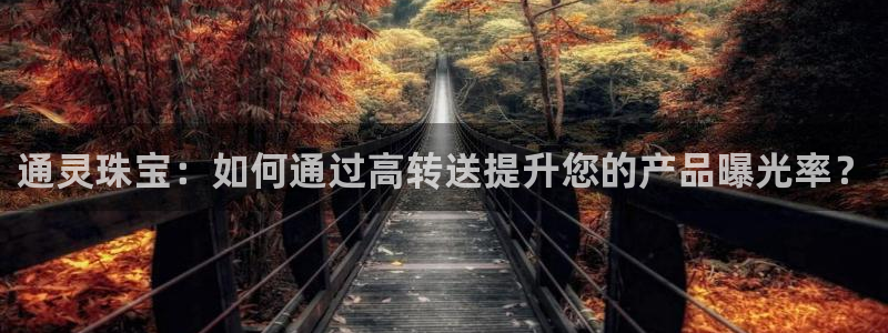 新宝5挂机软件：通灵珠宝：如何通过高转送提升您的产品曝光率？