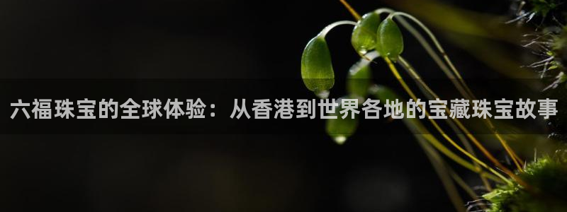 新宝5手机版：六福珠宝的全球体验：从香港到世界各地的宝藏珠宝故事