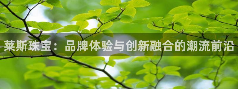 新宝5浗维33 300：莱斯珠宝：品牌体验与创新融合的潮流前沿