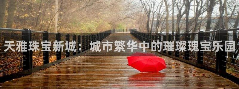 新宝5卫74OOO5：天雅珠宝新城：城市繁华中的璀璨瑰宝乐园
