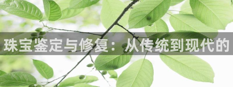 新宝5娱乐注：珠宝鉴定与修复：从传统到现代的