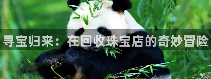 新宝5娱乐然：寻宝归来：在回收珠宝店的奇妙冒险