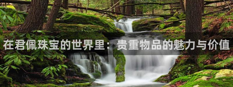 新宝5培训：在君佩珠宝的世界里：贵重物品的魅力与价值