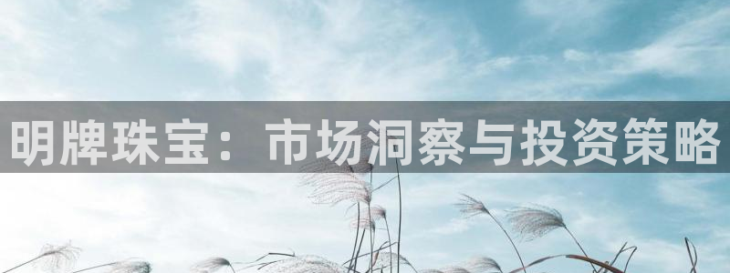 新宝5平台霸：明牌珠宝：市场洞察与投资策略