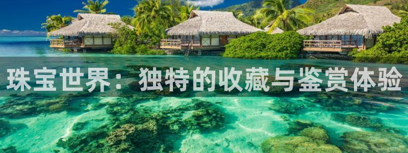 新宝3得74OO5：珠宝世界：独特的收藏与鉴赏体验