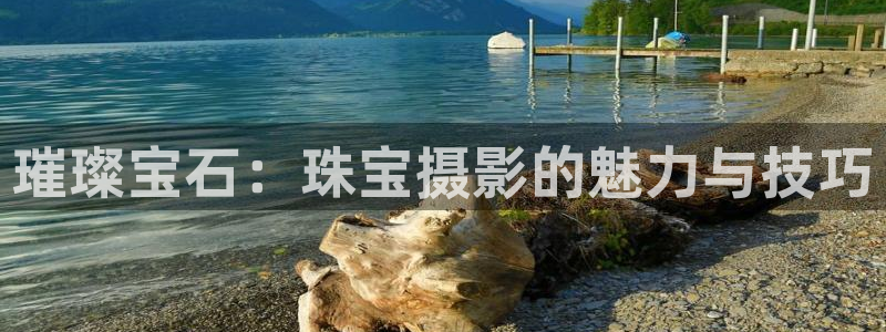 新宝5娱乐手机登录：璀璨宝石：珠宝摄影的魅力与技巧