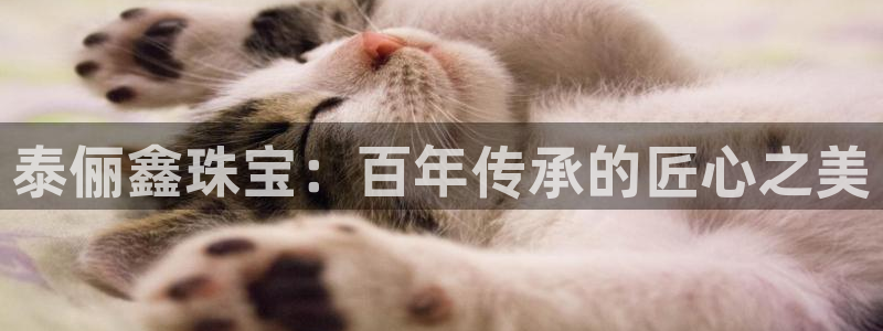 新宝5上70 667：泰俪鑫珠宝：百年传承的匠心之美